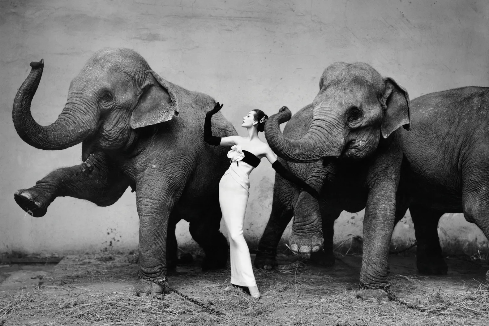 Photo by Richard Avedon